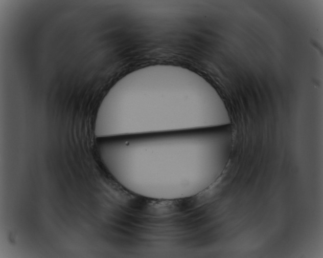 X0000093150186200710171358