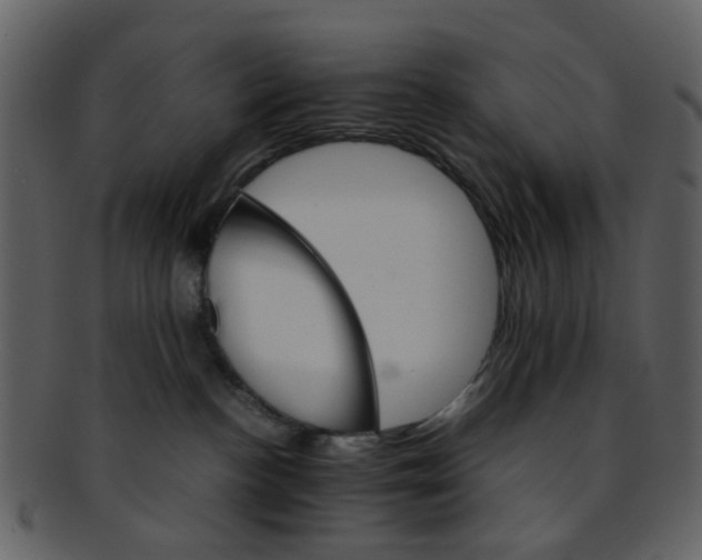 X0000093150188200710171358