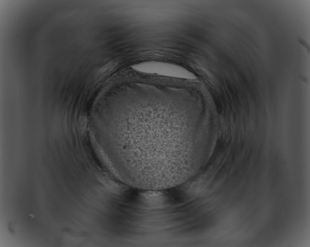 X0000093150189200710171358