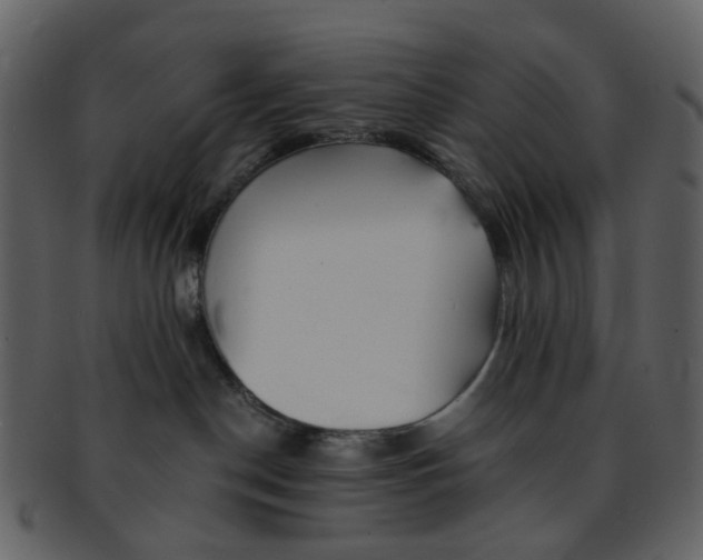 X0000093150190200710171358