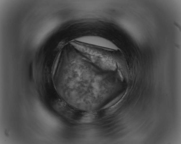 X0000093150191200710171358