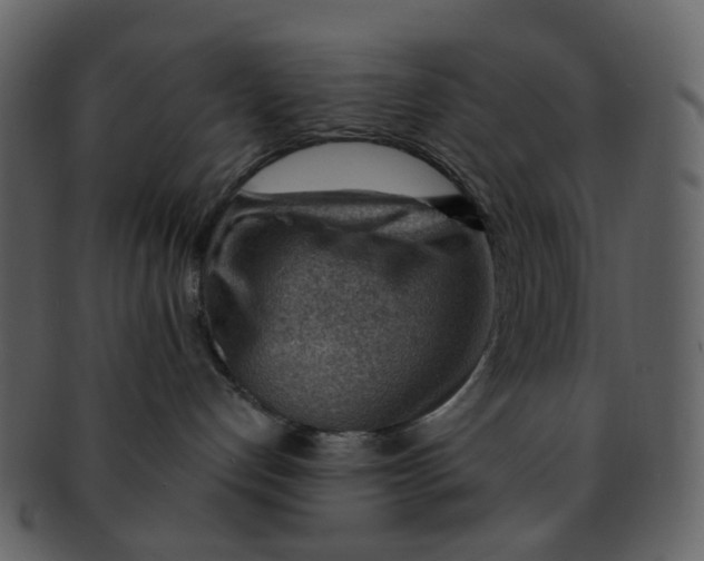 X0000093150192200710171358