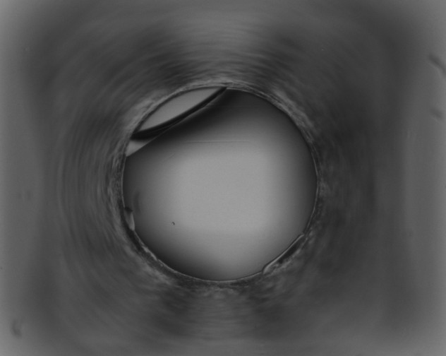 X0000093150193200710171358