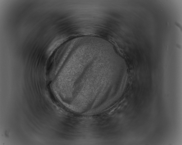 X0000093150194200710171358