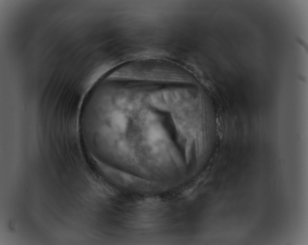 X0000093150196200710171358