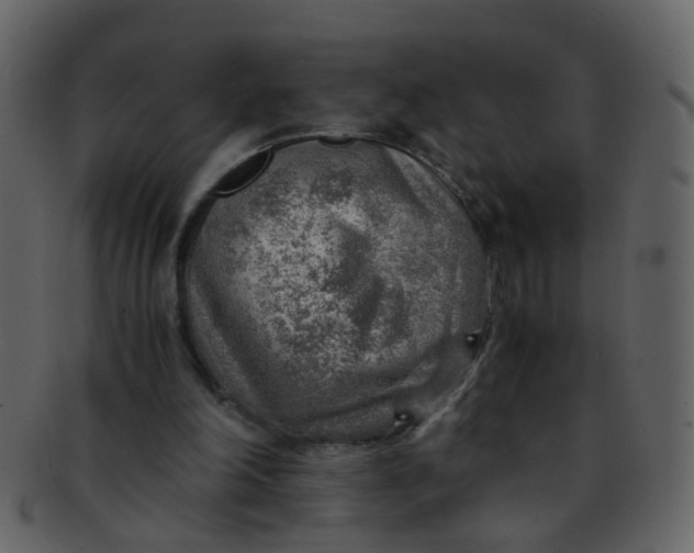 X0000093150198200710171358