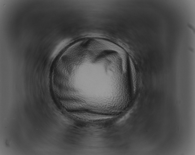 X0000093150199200710171358