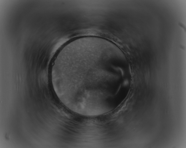 X0000093150200200710171358