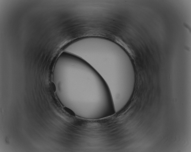 X0000093150203200710171358