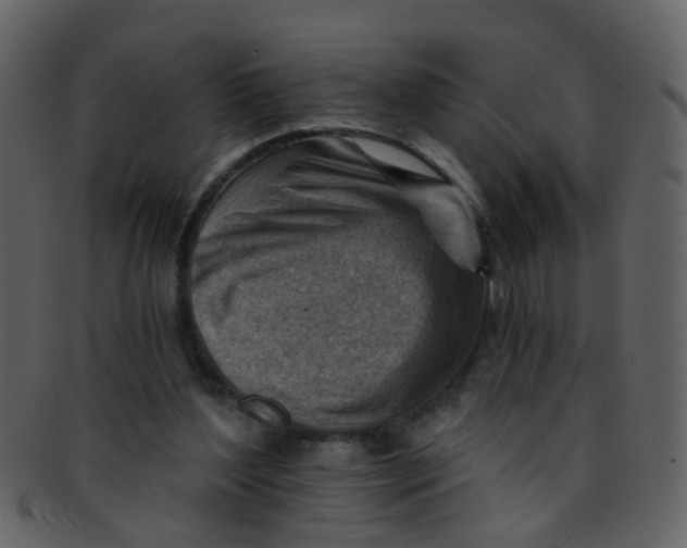 X0000093150204200710171358