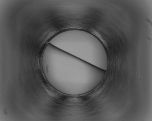 X0000093150205200710171357