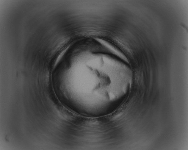 X0000093150206200710171357