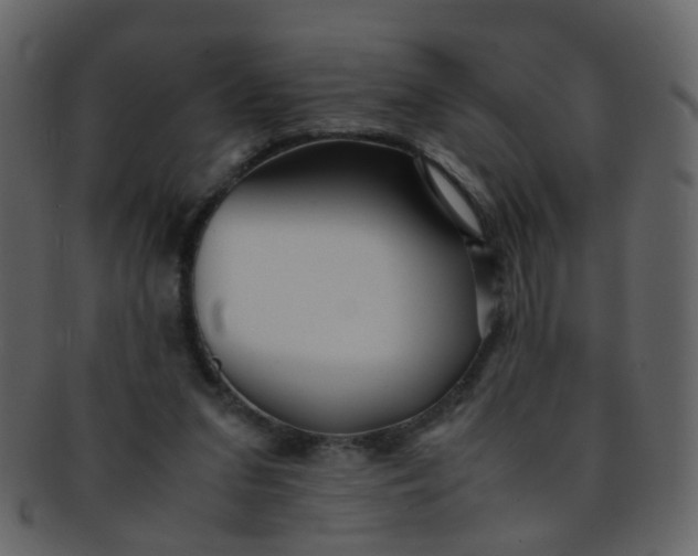 X0000093150207200710171357