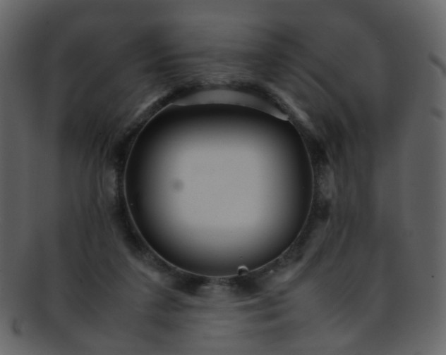 X0000093150211200710171357