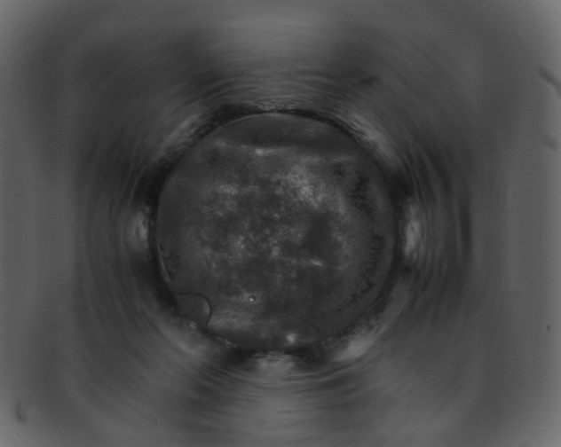 X0000093150214200710171357