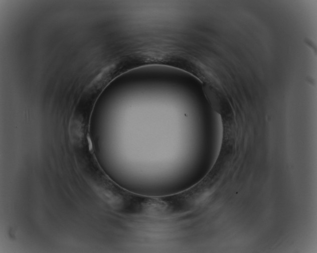 X0000093150215200710171357