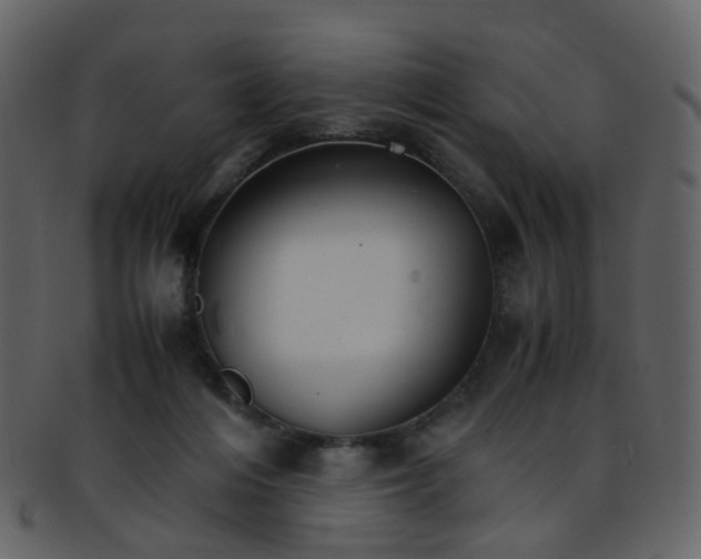 X0000093150216200710171357