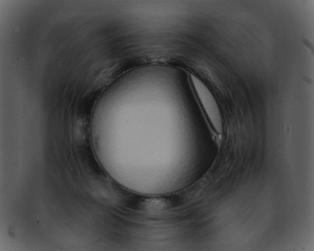 X0000093150218200710171357