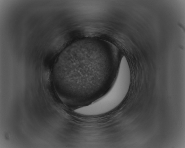 X0000093150219200710171357