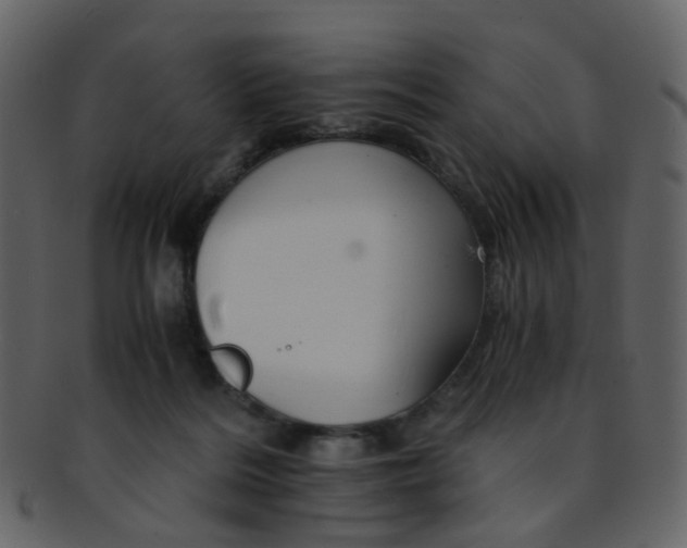 X0000093150220200710171357