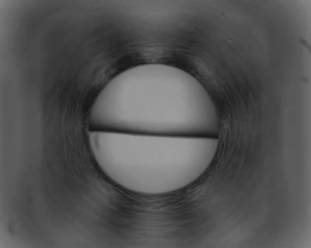 X0000093150221200710171357