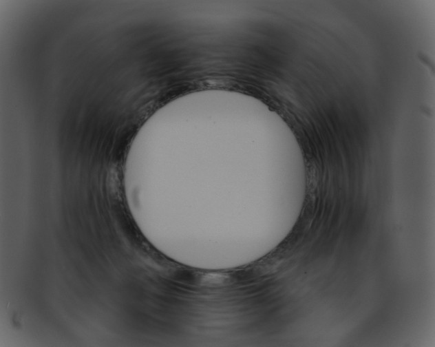 X0000093150222200710171357