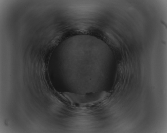 X0000093150223200710171357