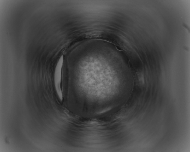 X0000093150224200710171357