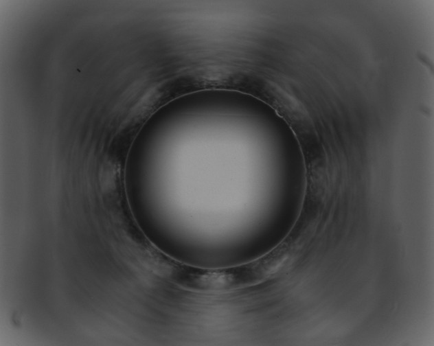 X0000093150225200710171357