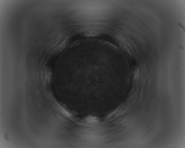 X0000093150227200710171357