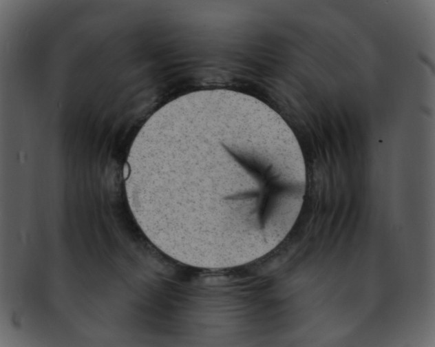 X0000093150228200710171357