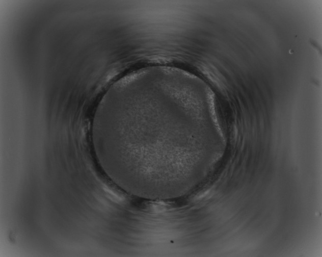 X0000093150229200710171357