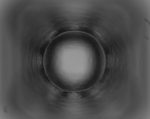 X0000093150230200710171357