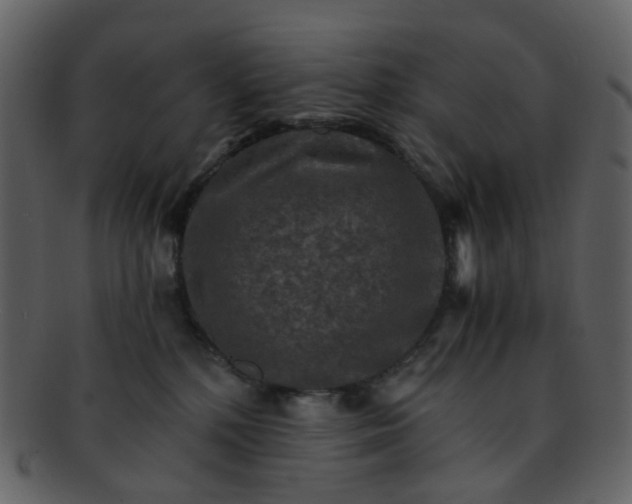 X0000093150232200710171357