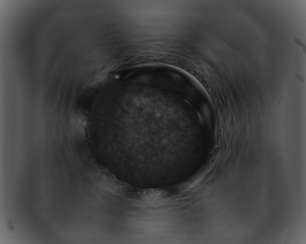 X0000093150235200710171357