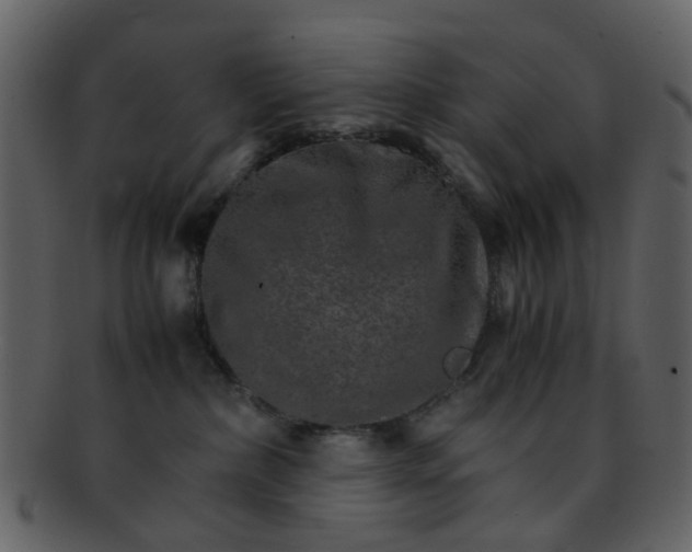 X0000093150236200710171357