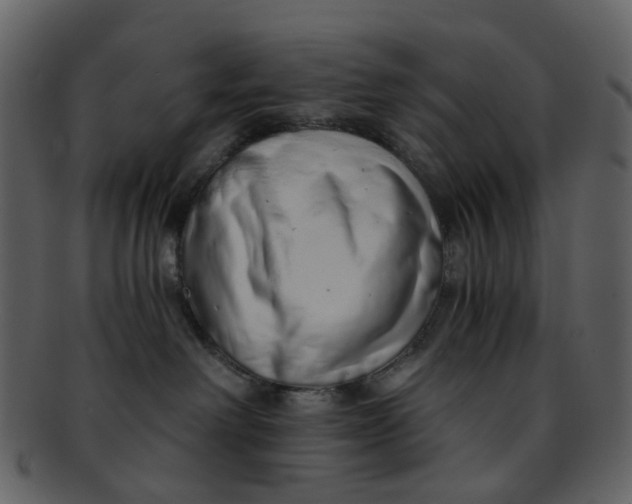 X0000093150238200710171357