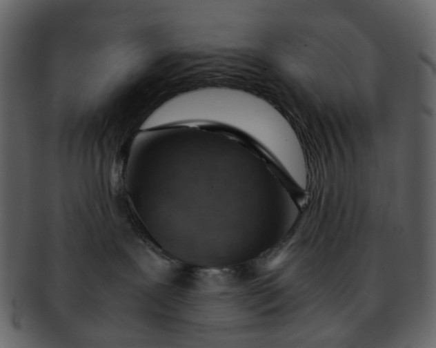 X0000093150239200710171357