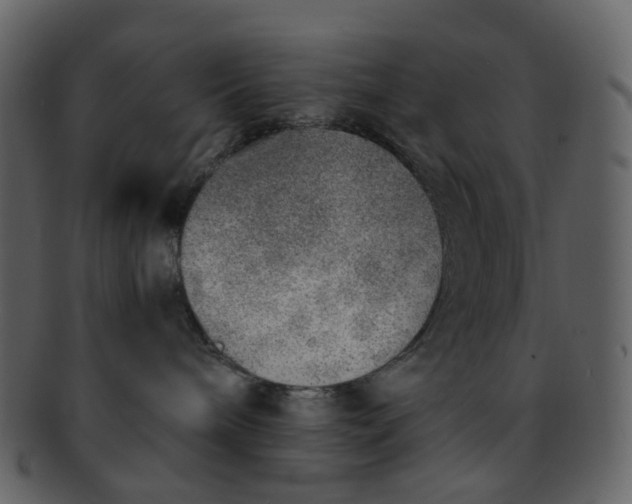 X0000093150240200710171357