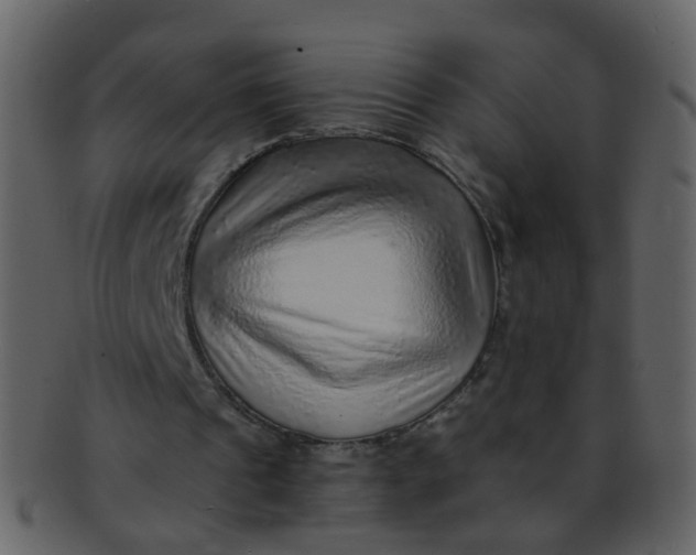 X0000093150241200710171356