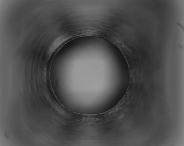 X0000093150242200710171356