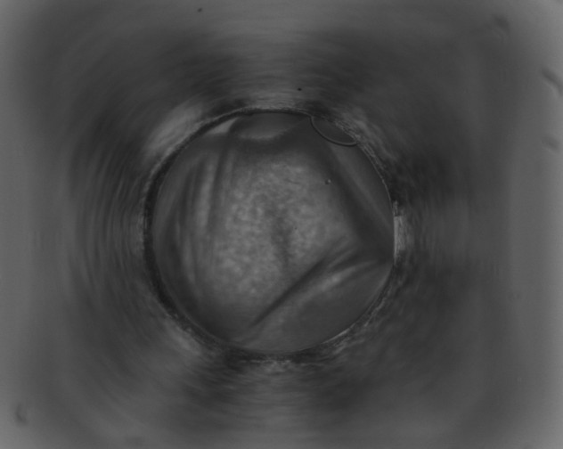 X0000093150243200710171356