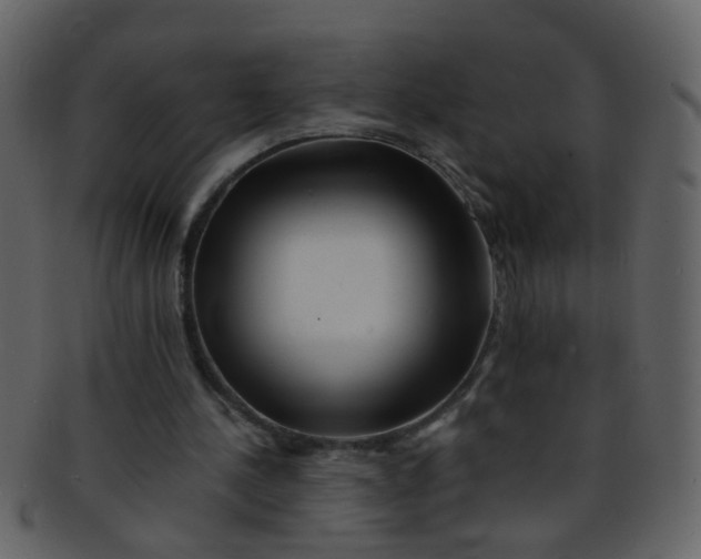 X0000093150244200710171356