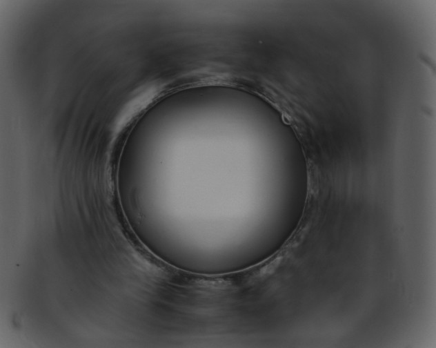 X0000093150245200710171356