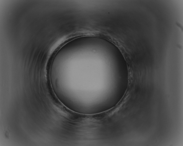 X0000093150246200710171356