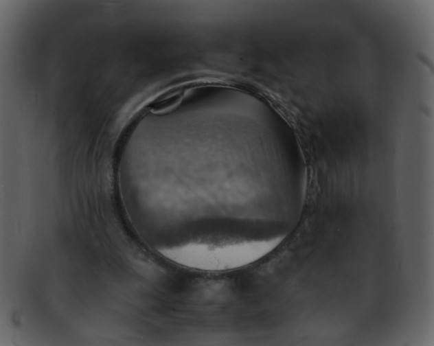 X0000093150247200710171356