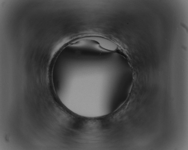 X0000093150248200710171356