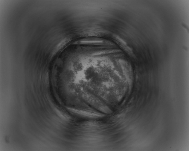 X0000093150250200710171356