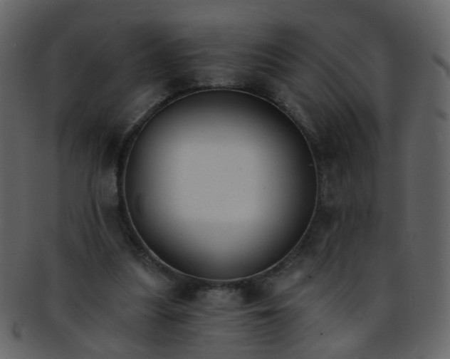 X0000093150251200710171356