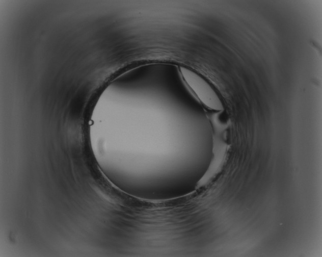 X0000093150252200710171357